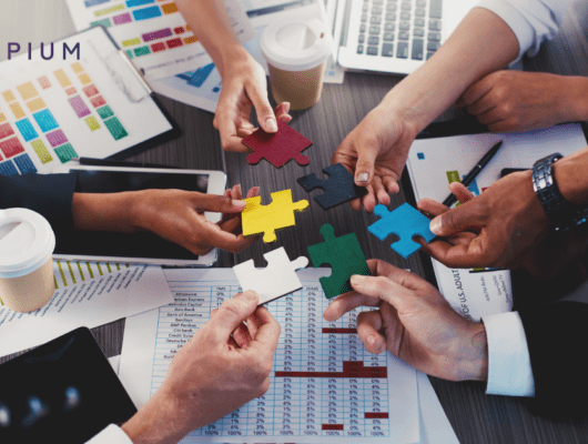 Self assessment software: integrations